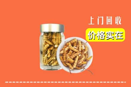 衡水阜城县回收散虫草