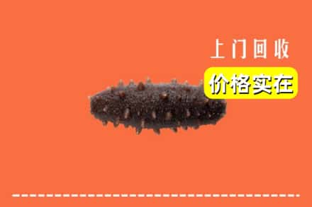 衡水阜城县回收海参