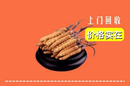 衡水阜城县回收冬虫夏草
