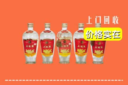 诚信求购:衡水阜城县高价回收老五粮液